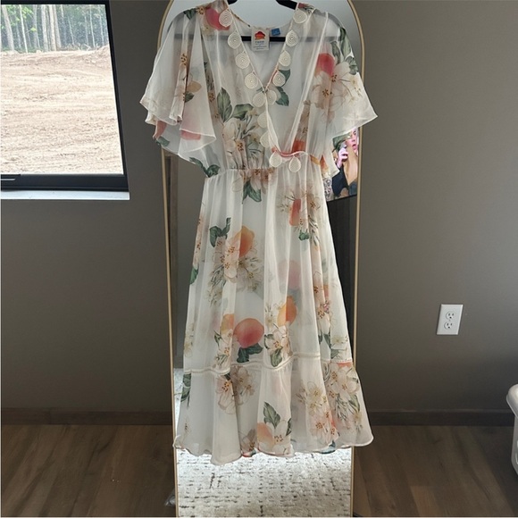 Farm Rio Sheer Dress - Picture 6 of 6